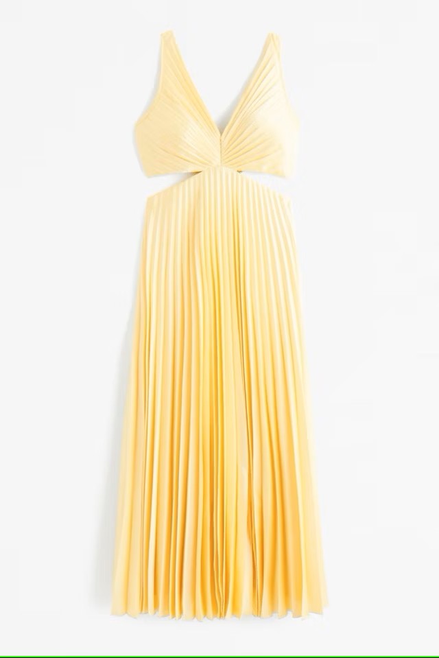 Seraphina - Pleated Maxi Dress